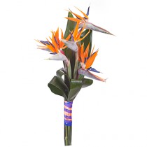 Men's bouquet with Strelitzia